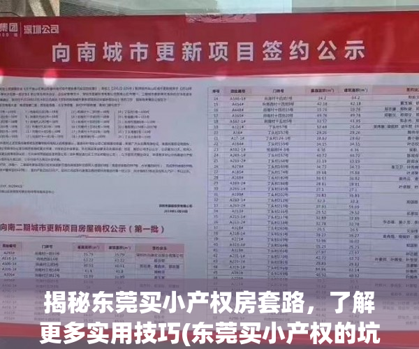 揭秘东莞买小产权房套路，了解更多实用技巧(东莞买小产权的坑)