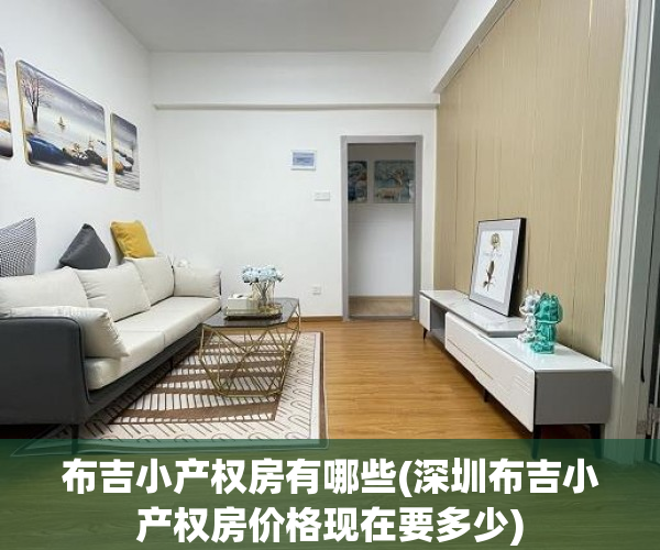 布吉小产权房有哪些(深圳布吉小产权房价格现在要多少)