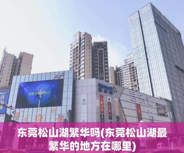 东莞松山湖繁华吗(东莞松山湖最繁华的地方在哪里)