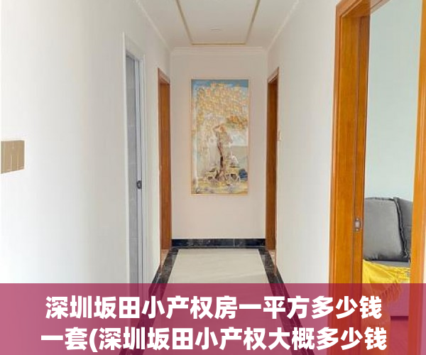 深圳坂田小产权房一平方多少钱一套(深圳坂田小产权大概多少钱) 深圳坂田小产权房一平方多少钱一套(深圳坂田小产权大概多少钱)