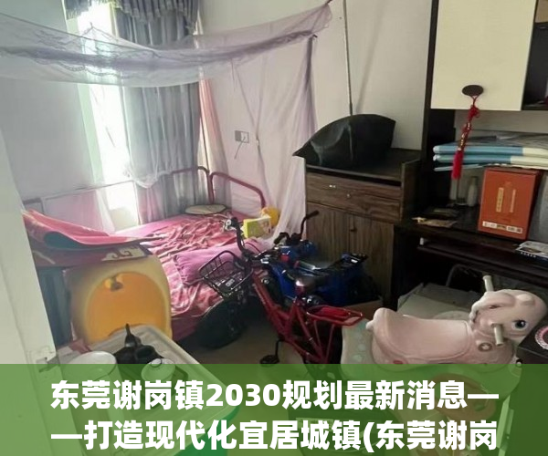 东莞谢岗镇2030规划最新消息——打造现代化宜居城镇(东莞谢岗镇位置)