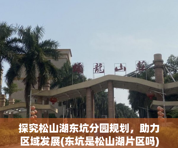 探究松山湖东坑分园规划，助力区域发展(东坑是松山湖片区吗)