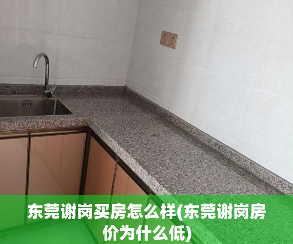 东莞谢岗买房怎么样(东莞谢岗房价为什么低) 东莞谢岗买房怎么样(东莞谢岗房价为什么低)