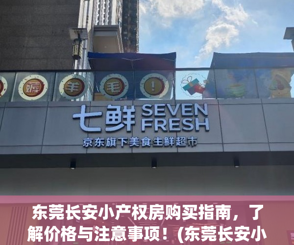 东莞长安小产权房购买指南，了解价格与注意事项！(东莞长安小产权房价多少钱一平米)