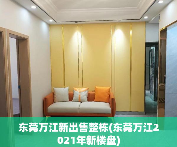 东莞万江新出售整栋(东莞万江2021年新楼盘) 东莞万江新出售整栋(东莞万江2021年新楼盘)