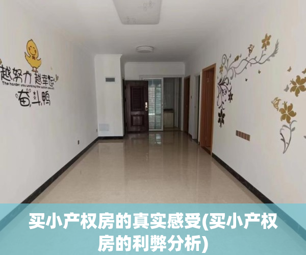 买小产权房的真实感受(买小产权房的利弊分析) 买小产权房的真实感受(买小产权房的利弊分析)