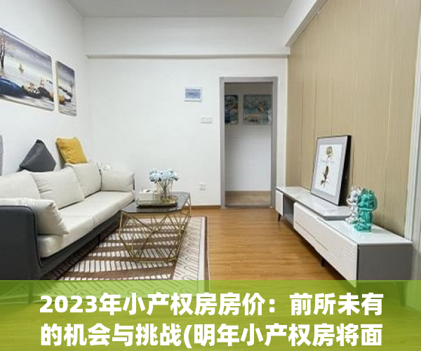 2023年小产权房房价：前所未有的机会与挑战(明年小产权房将面临灾难性拆毁)