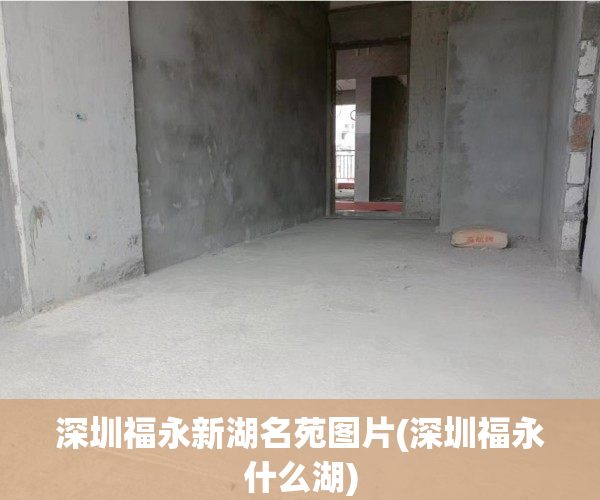 深圳福永新湖名苑图片(深圳福永什么湖) 深圳福永新湖名苑图片(深圳福永什么湖)