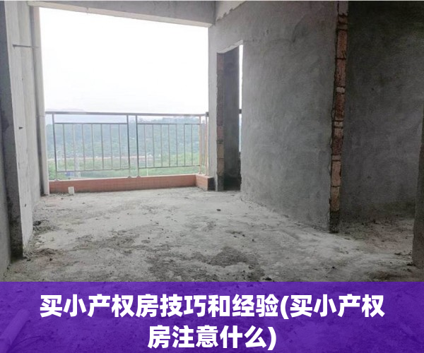 买小产权房技巧和经验(买小产权房注意什么)