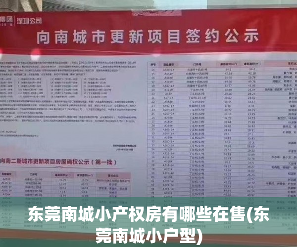 东莞南城小产权房有哪些在售(东莞南城小户型) 东莞南城小产权房有哪些在售(东莞南城小户型)