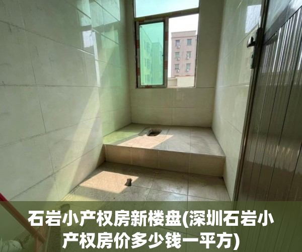 石岩小产权房新楼盘(深圳石岩小产权房价多少钱一平方) 石岩小产权房新楼盘(深圳石岩小产权房价多少钱一平方)