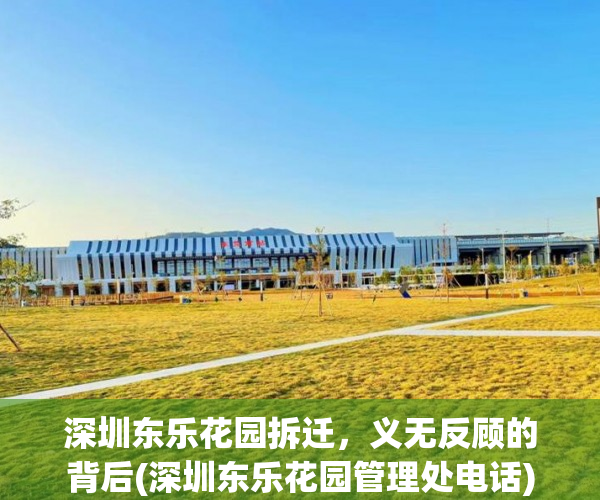 深圳东乐花园拆迁，义无反顾的背后(深圳东乐花园管理处电话)