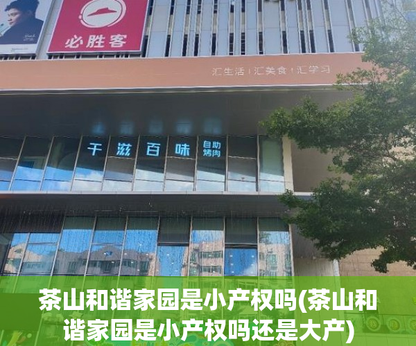 茶山和谐家园是小产权吗(茶山和谐家园是小产权吗还是大产) 茶山和谐家园是小产权吗(茶山和谐家园是小产权吗还是大产)