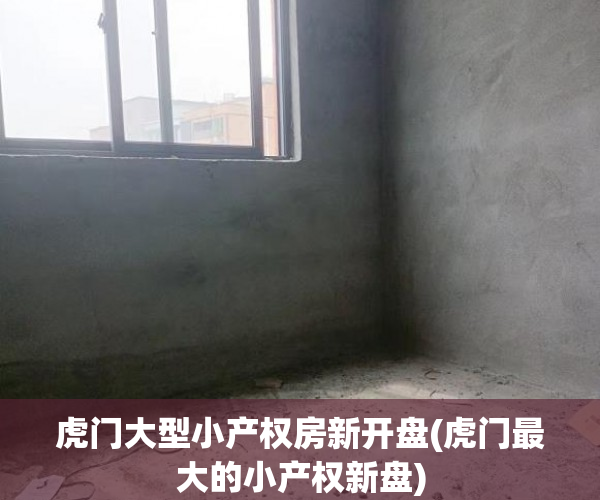 虎门大型小产权房新开盘(虎门最大的小产权新盘) 虎门大型小产权房新开盘(虎门最大的小产权新盘)