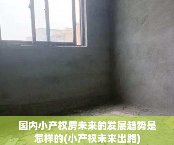 国内小产权房未来的发展趋势是怎样的(小产权未来出路)
