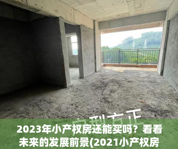 2023年小产权房还能买吗？看看未来的发展前景(2021小产权房未来的趋势)