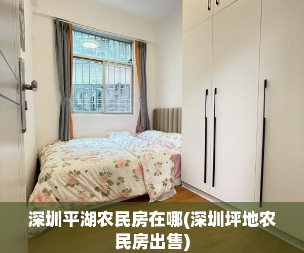 深圳平湖农民房在哪(深圳坪地农民房出售) 深圳平湖农民房在哪(深圳坪地农民房出售)
