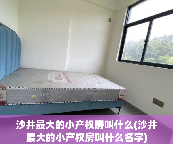 沙井最大的小产权房叫什么(沙井最大的小产权房叫什么名字) 沙井最大的小产权房叫什么(沙井最大的小产权房叫什么名字)