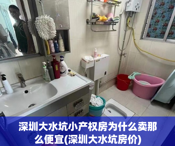深圳大水坑小产权房为什么卖那么便宜(深圳大水坑房价)