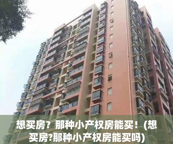 想买房？那种小产权房能买！(想买房?那种小产权房能买吗)