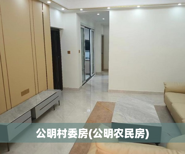 公明村委房(公明农民房) 公明村委房(公明农民房)