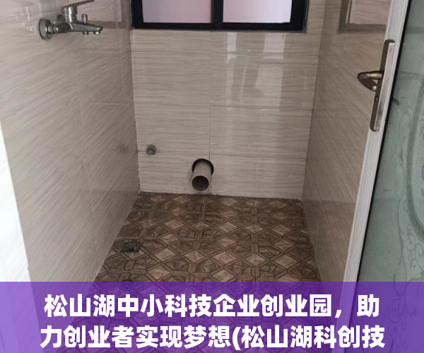 松山湖中小科技企业创业园，助力创业者实现梦想(松山湖科创技工学校)