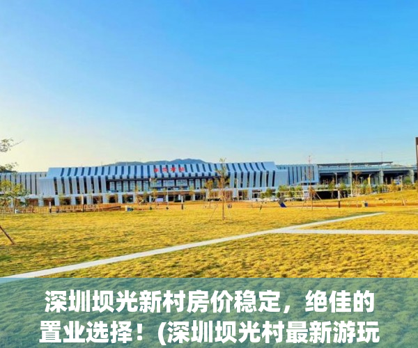 深圳坝光新村房价稳定，绝佳的置业选择！(深圳坝光村最新游玩攻略)