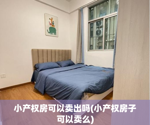 小产权房可以卖出吗(小产权房子可以卖么) 小产权房可以卖出吗(小产权房子可以卖么)