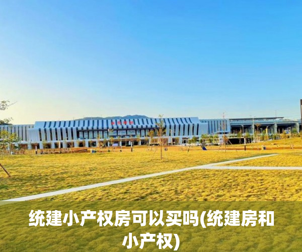 统建小产权房可以买吗(统建房和小产权)
