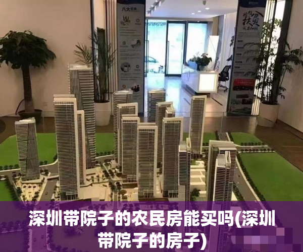 深圳带院子的农民房能买吗(深圳带院子的房子)