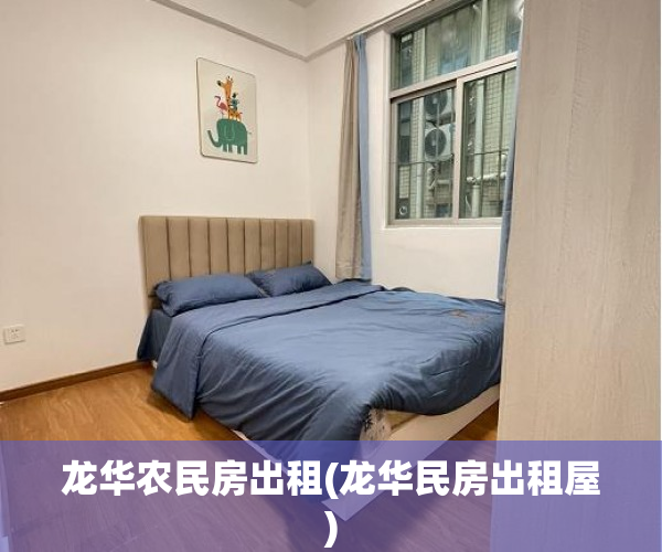 龙华农民房出租(龙华民房出租屋)