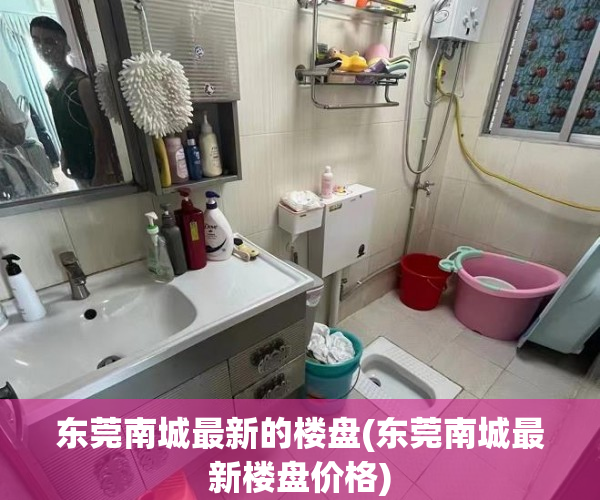 东莞南城最新的楼盘(东莞南城最新楼盘价格) 东莞南城最新的楼盘(东莞南城最新楼盘价格)