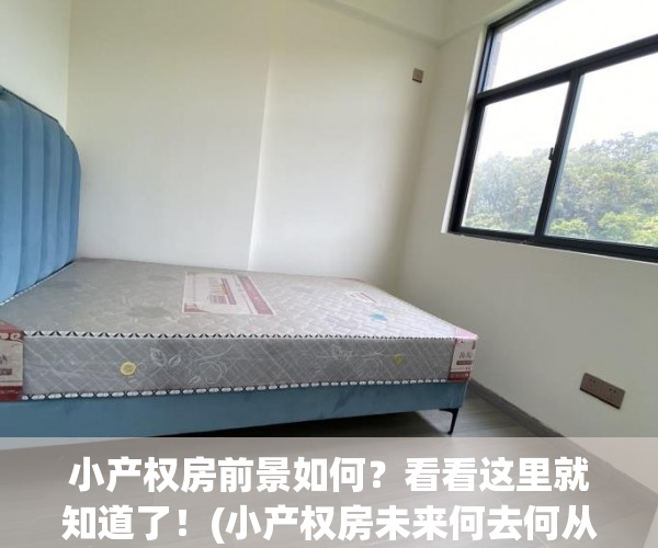 小产权房前景如何？看看这里就知道了！(小产权房未来何去何从)