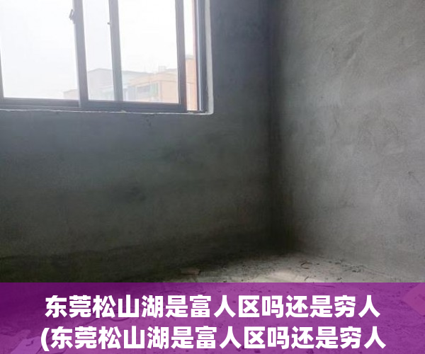 东莞松山湖是富人区吗还是穷人(东莞松山湖是富人区吗还是穷人区)