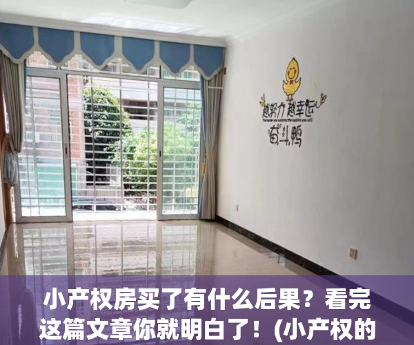 小产权房买了有什么后果？看完这篇文章你就明白了！(小产权的房子可以买吗?有什么坏处)