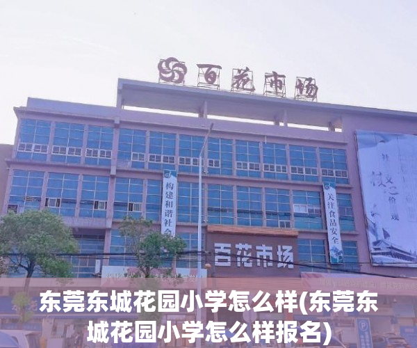 东莞东城花园小学怎么样(东莞东城花园小学怎么样报名) 东莞东城花园小学怎么样(东莞东城花园小学怎么样报名)