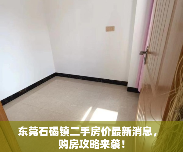 东莞石碣镇二手房价最新消息， 购房攻略来袭！