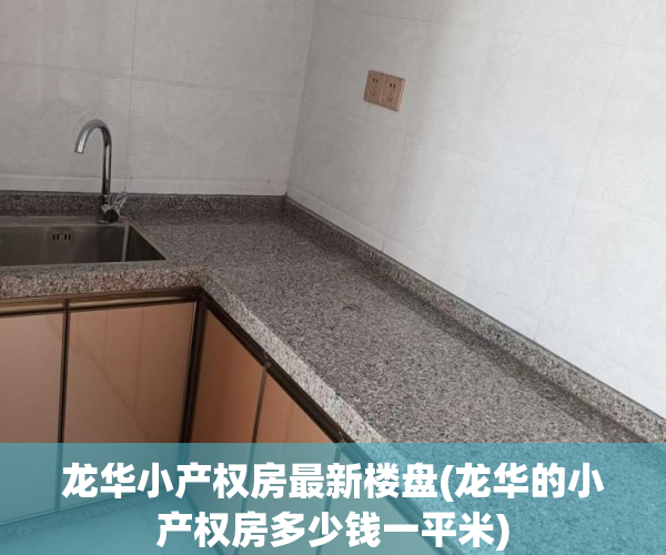 龙华小产权房最新楼盘(龙华的小产权房多少钱一平米)