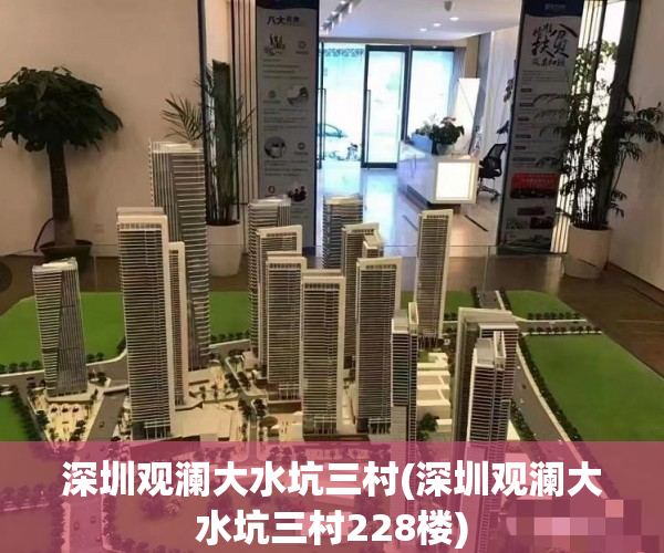 深圳观澜大水坑三村(深圳观澜大水坑三村228楼)