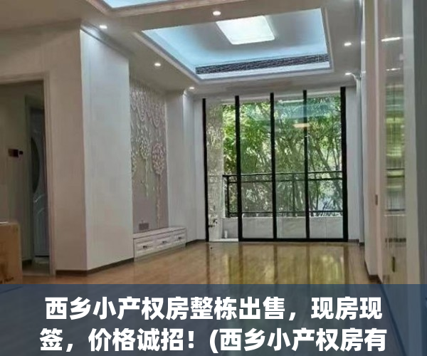 西乡小产权房整栋出售，现房现签，价格诚招！(西乡小产权房有哪些)