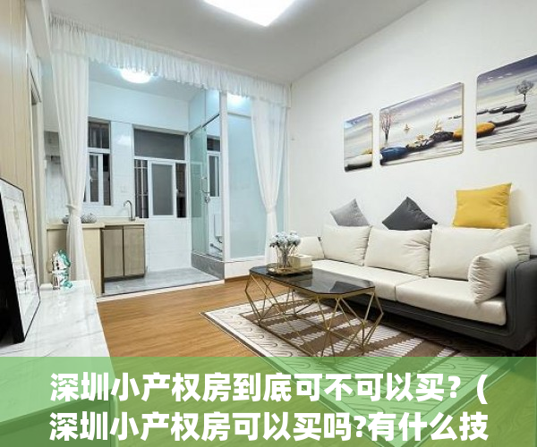 深圳小产权房到底可不可以买？(深圳小产权房可以买吗?有什么技巧)