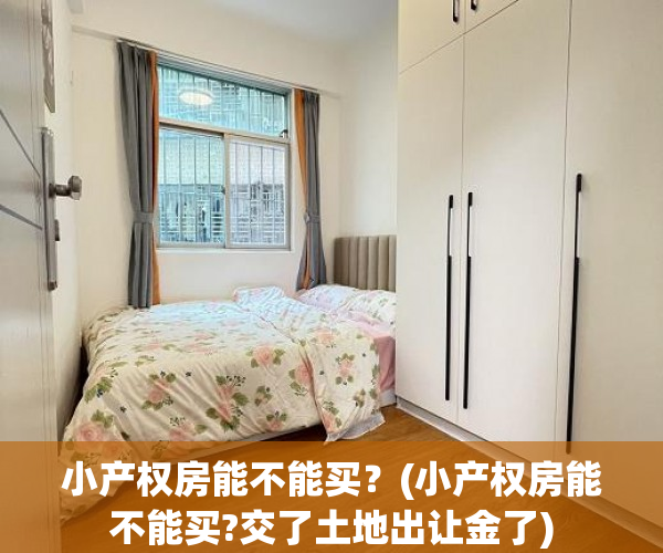小产权房能不能买?(小产权房能不能买?交了土地出让金了) 小产权房能不能买?(小产权房能不能买?交了土地出让金了)
