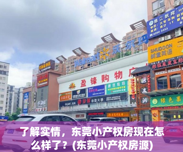 了解实情，东莞小产权房现在怎么样了？(东莞小产权房源)