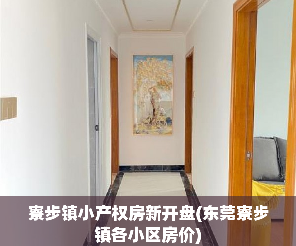 寮步镇小产权房新开盘(东莞寮步镇各小区房价) 寮步镇小产权房新开盘(东莞寮步镇各小区房价)