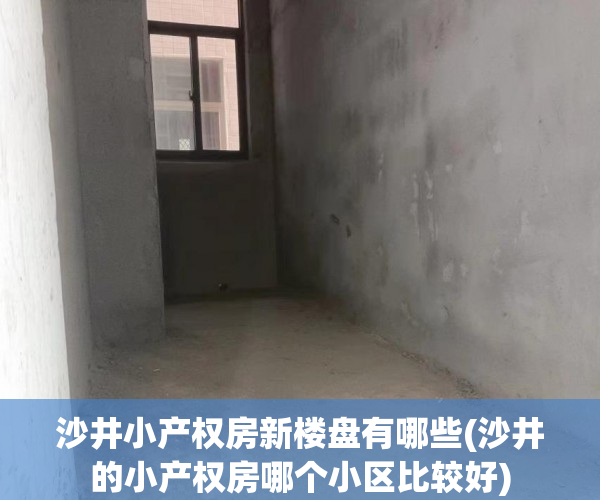 沙井小产权房新楼盘有哪些(沙井的小产权房哪个小区比较好) 沙井小产权房新楼盘有哪些(沙井的小产权房哪个小区比较好)
