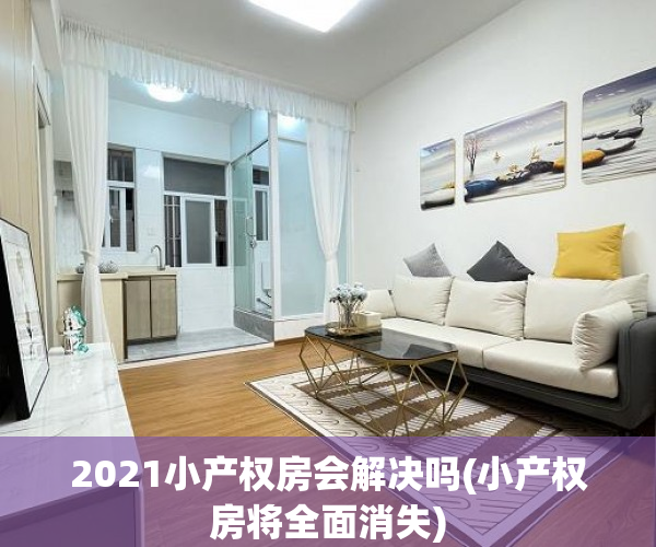2021小产权房会解决吗(小产权房将全面消失)
