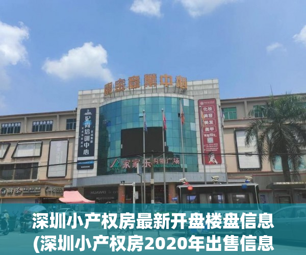 深圳小产权房最新开盘楼盘信息(深圳小产权房2020年出售信息)
