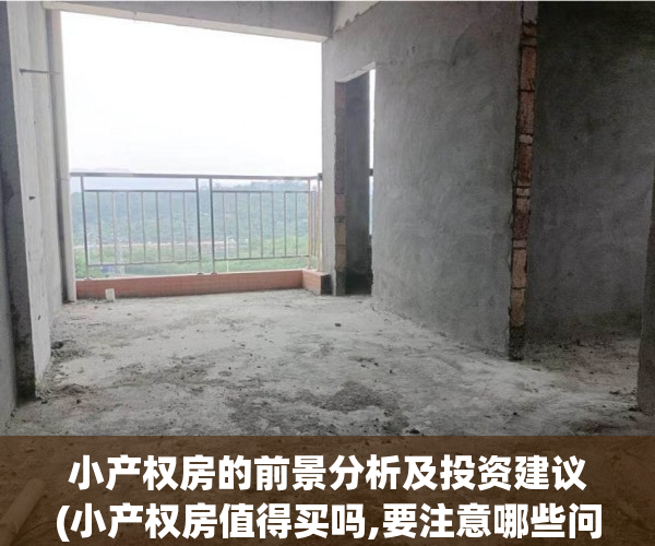 小产权房的前景分析及投资建议(小产权房值得买吗,要注意哪些问题)