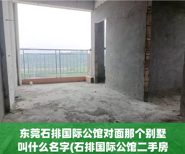 东莞石排国际公馆对面那个别墅叫什么名字(石排国际公馆二手房价格表)