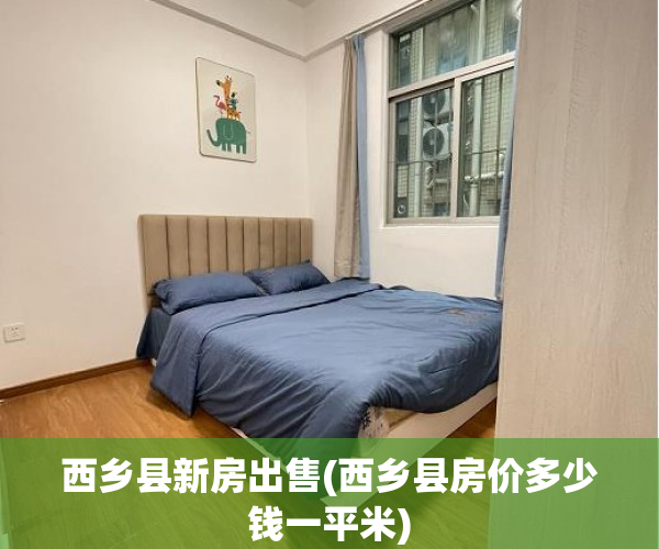 西乡县新房出售(西乡县房价多少钱一平米)